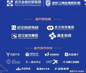 冲刺阶段武汉三镇官宣签约——欧联节点到来；底气十足；资深球员宣示担当的简单介绍-九游体育下载